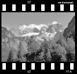 zur Österreich 2011 Bildergalerie