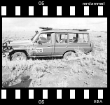 zur Kenia 1999-2000 Bildergalerie